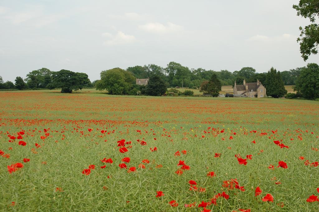 Woodland Guesthouse Stow-on-the-Wold Extérieur photo